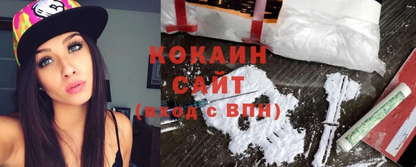 стафф Алзамай